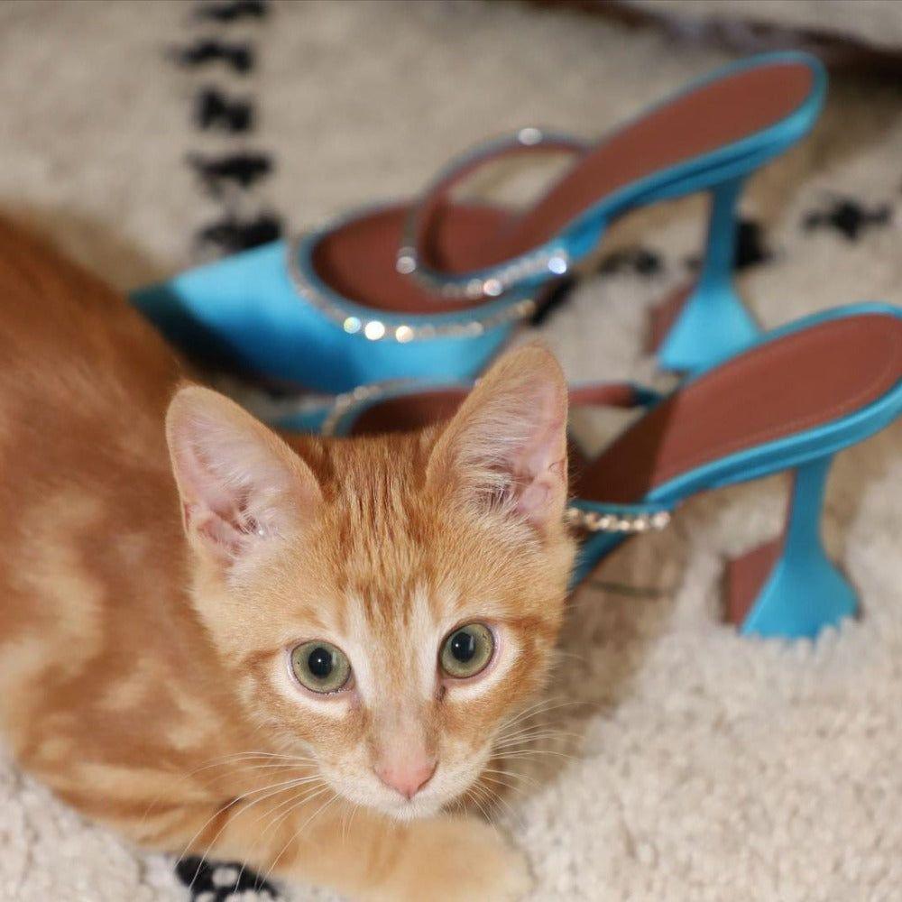 Caterina Crystal Embellished Satin Heels - Black / 4 - Be My Shine