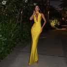 Damira Halter Backless Maxi Dress Be My Shine