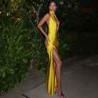 Damira Halter Backless Maxi Dress Be My Shine