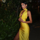 Damira Halter Backless Maxi Dress Be My Shine